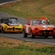 Illustration for article titled The Top 108 Lemons of the Goin For Broken 24 Hours of LeMons